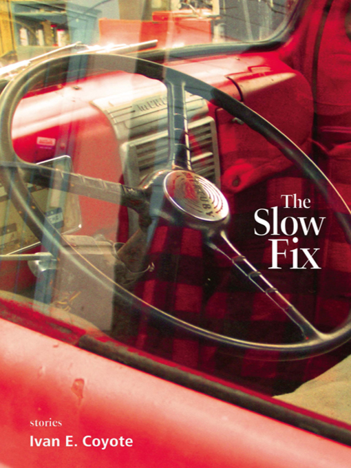 Cover image for The Slow Fix